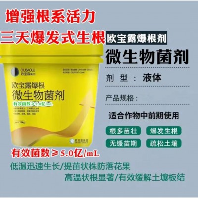 生根剂爆根三天爆发式生根生根壮苗增产增收微生物菌剂厂家批发图2