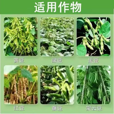 大豆专用叶面肥黄豆粒粒饱缸豆蚕豆增花保荚膨大抗倒伏控旺水溶肥图4
