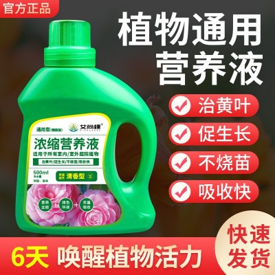 批发艾尚棵植物浓缩营养液通用家用室内绿植花卉花肥料多肉幸福树图2