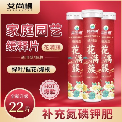 厂家批发植物园艺缓释营养片控释肥氮磷钾室内通用型绿植花卉肥料图2