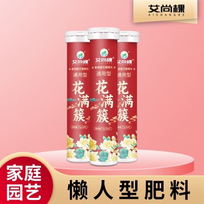 厂家批发植物园艺缓释营养片控释肥氮磷钾室内通用型绿植花卉肥料图3