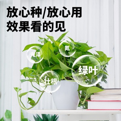 绿萝营养液肥料专用肥植物盆栽绿箩营业液花肥料家用土水培养花用图3