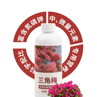 三角梅开花专用营养液肥促花爆花骨粉复合肥料养花枝繁叶茂促开花图3