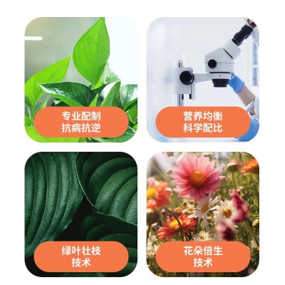 天堂营养液专用家用盆栽花卉植物通用型黄叶卷边适用肥氮磷钾通用图3