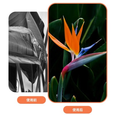 天堂营养液专用家用盆栽花卉植物通用型黄叶卷边适用肥氮磷钾通用图4