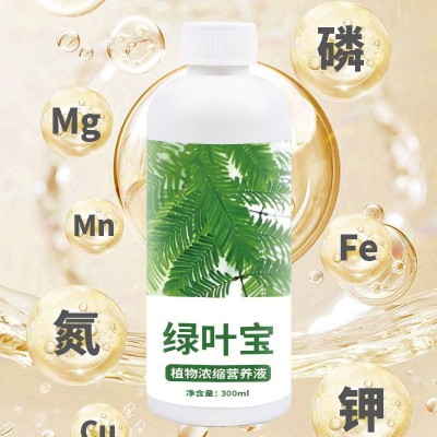 绿叶营养液黄叶死苗解决黄叶叶面肥花卉蔬菜果树家用通用一喷绿图3
