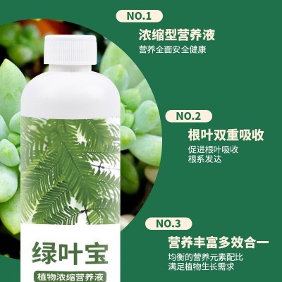 绿叶营养液黄叶死苗解决黄叶叶面肥花卉蔬菜果树家用通用一喷绿图2