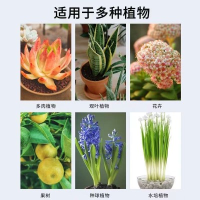 植物菌立清通用型免稀释家庭园艺营养液微生物菌剂植物抗菌花肥料图5