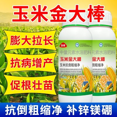 玉米金大棒高产长效专用肥正品生根壮苗抗倒促早熟增产增收水溶肥图4