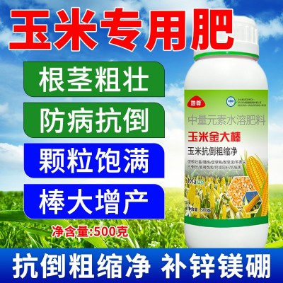 玉米金大棒高产长效专用肥正品生根壮苗抗倒促早熟增产增收水溶肥图2