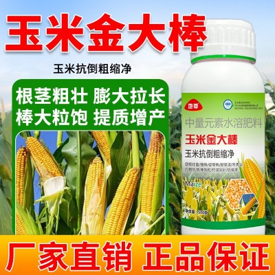 玉米金大棒高产长效专用肥正品生根壮苗抗倒促早熟增产增收水溶肥图3