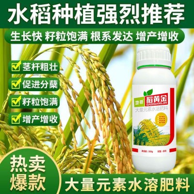 水稻专用肥稻黄金返青分蘖灌浆生根壮苗壮穗谷子增产叶面肥正品图3
