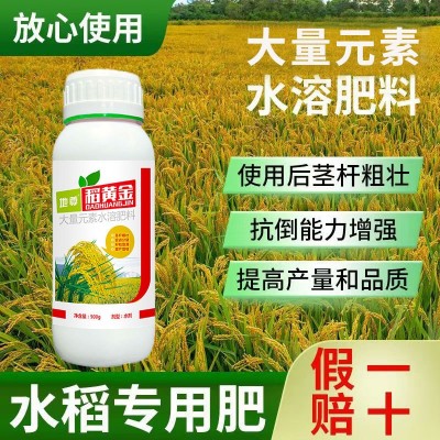 水稻专用肥稻黄金返青分蘖灌浆生根壮苗壮穗谷子增产叶面肥正品图4