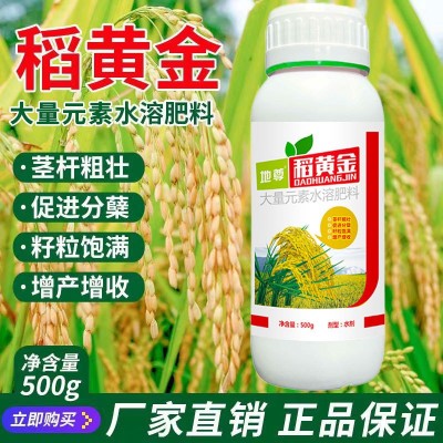 水稻专用肥稻黄金返青分蘖灌浆生根壮苗壮穗谷子增产叶面肥正品图2