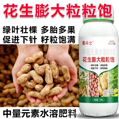 正品花生膨大粒粒饱专用肥促进下针多结果籽粒饱满提高产量叶面肥图4