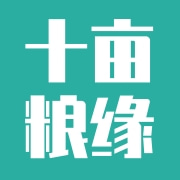 企业logo
