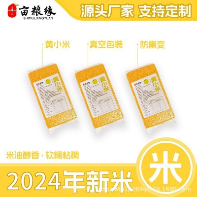 250克真空黄小米农家黄小米五谷杂粮小米粥 早餐煲粥小米批发图2