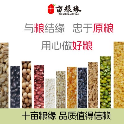 小包装粗粮黑米五谷杂粮当季新货甄选黑米图4