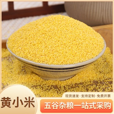 批发小米黄小米小黄米50斤食用散装粥五谷杂粮新米糯品质联系客服图2