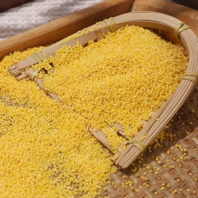 批发小米黄小米小黄米50斤食用散装粥五谷杂粮新米糯品质联系客服图3