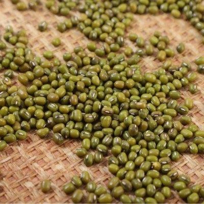 厂家批发东北绿豆毛绿豆50斤一包脱皮去皮豆类五谷杂粮粗粮种子图4