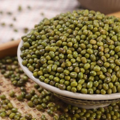 厂家批发东北绿豆毛绿豆50斤一包脱皮去皮豆类五谷杂粮粗粮种子图2