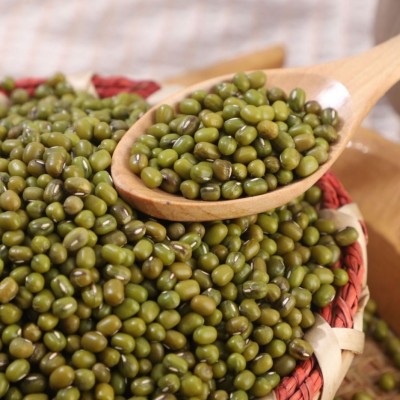 厂家批发东北绿豆毛绿豆50斤一包脱皮去皮豆类五谷杂粮粗粮种子图3