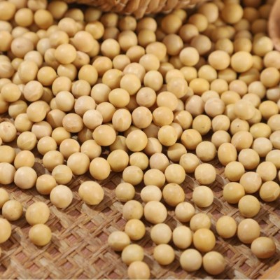 大量批发东北黄豆50斤一包做豆腐打豆浆专用大豆豆子散装非转基因图2