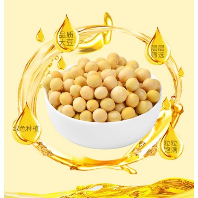 黄海纯香大豆油 2.7升大捅家用商用食用植物油 厂家批发图4