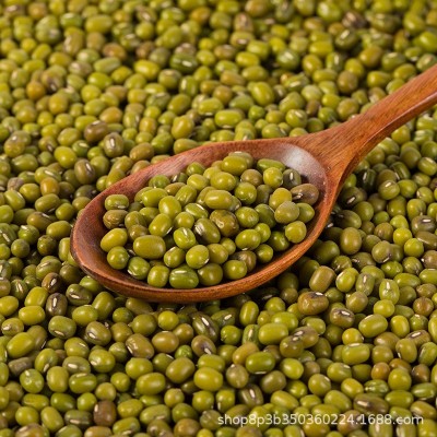 野森林五谷杂粮东北绿豆1000g真空夏季降温图3