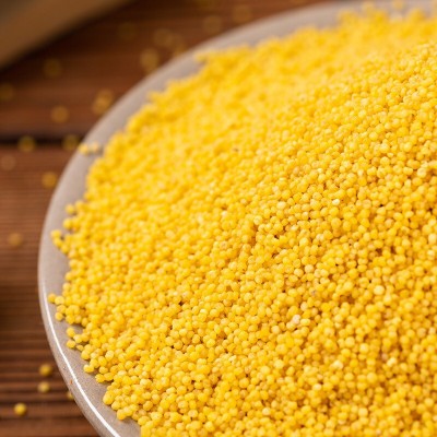 野森林黄小米粥黄小米农家食用五谷杂粮米脂新米500g陕北小米图3
