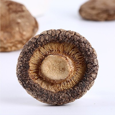 野森林香菇干货农家食用菌类冬菇花菇香菇去根肉厚香味浓300g图3