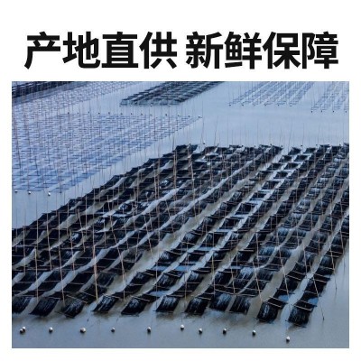 紫菜批发特级干货无沙无盐独立包装20g霞浦紫菜特产家商两 用批发图5