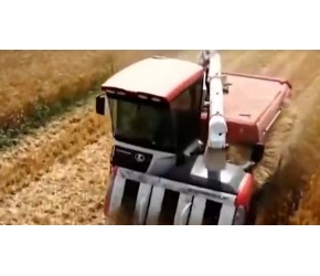 小麦在什么情况下容易发生白粉病？种植户可选择哪些杀菌剂防治？