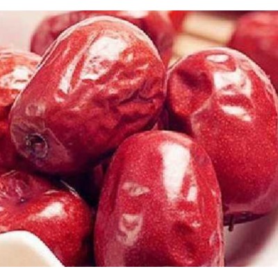 新疆和田大枣 骏枣批发图5