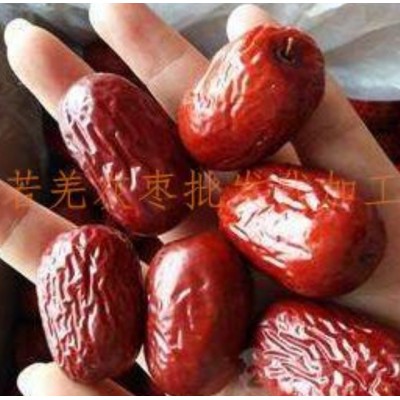 新疆若羌灰枣原产地直供 可带装代发 可供电商 量大从优图2