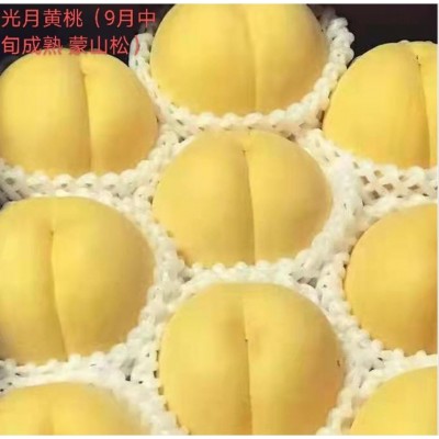 光月黄桃图4