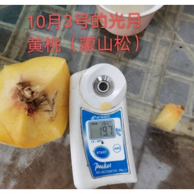光月黄桃图2