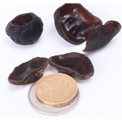 特级干木耳 酒店餐饮 干货批发图3