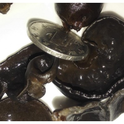 特级干木耳 酒店餐饮 干货批发图4