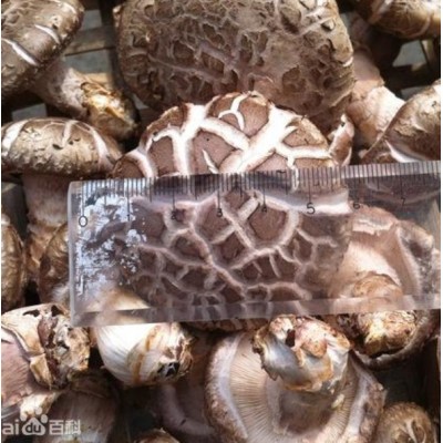 西部优质绿色农产品供应商-花菇供应图5