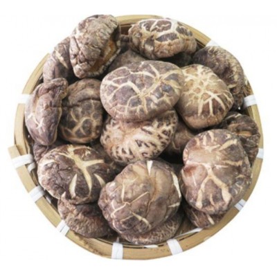 西部优质绿色农产品供应商-花菇供应图4