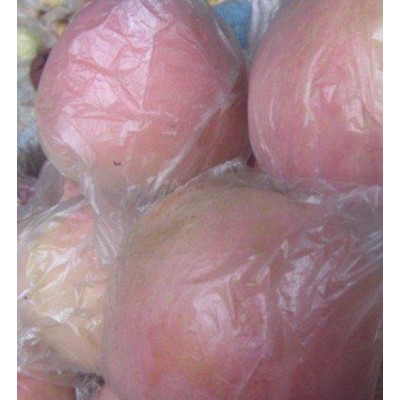 纸袋，膜袋红富士苹果产地格图5