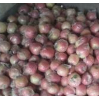 山东红富士苹果价格图2