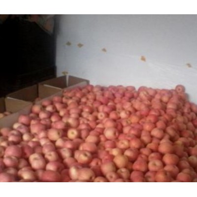 山东红富士苹果价格图4