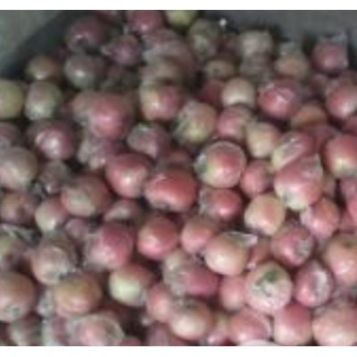 山东红富士苹果价格图5