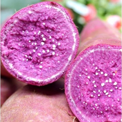 新鲜紫薯图3