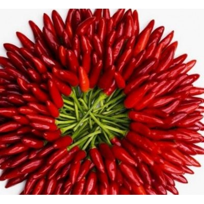 供应天宇辣椒图5