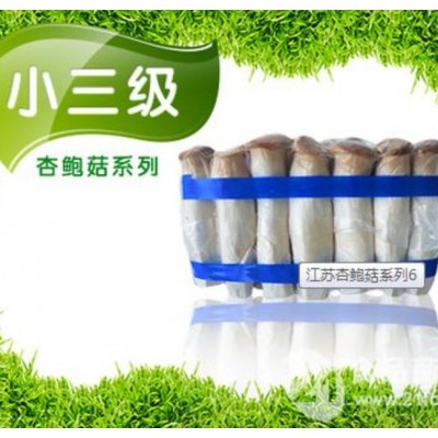 小三级杏鲍菇图3