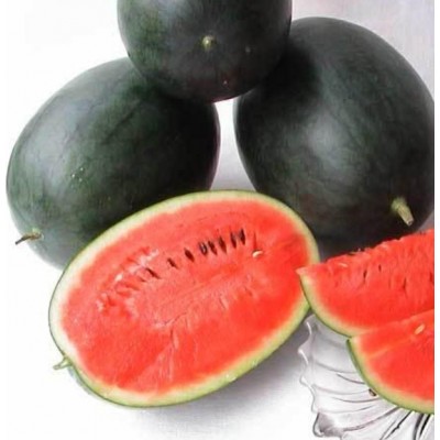 黑美人西瓜图4